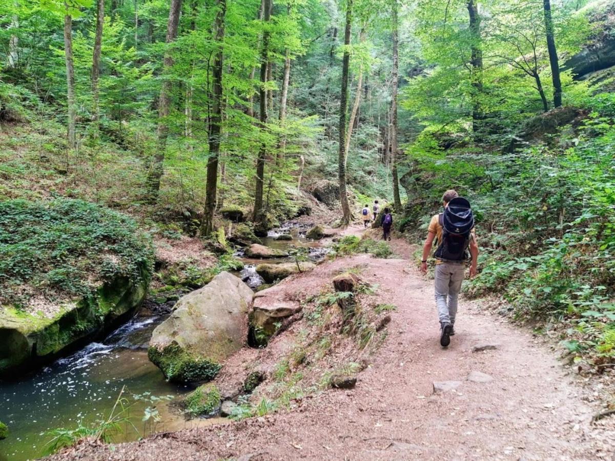 Nice Tent Lodge On A Campsite, Adjacent To The Forest, 27 Km From Luxembourg Medernach المظهر الخارجي الصورة